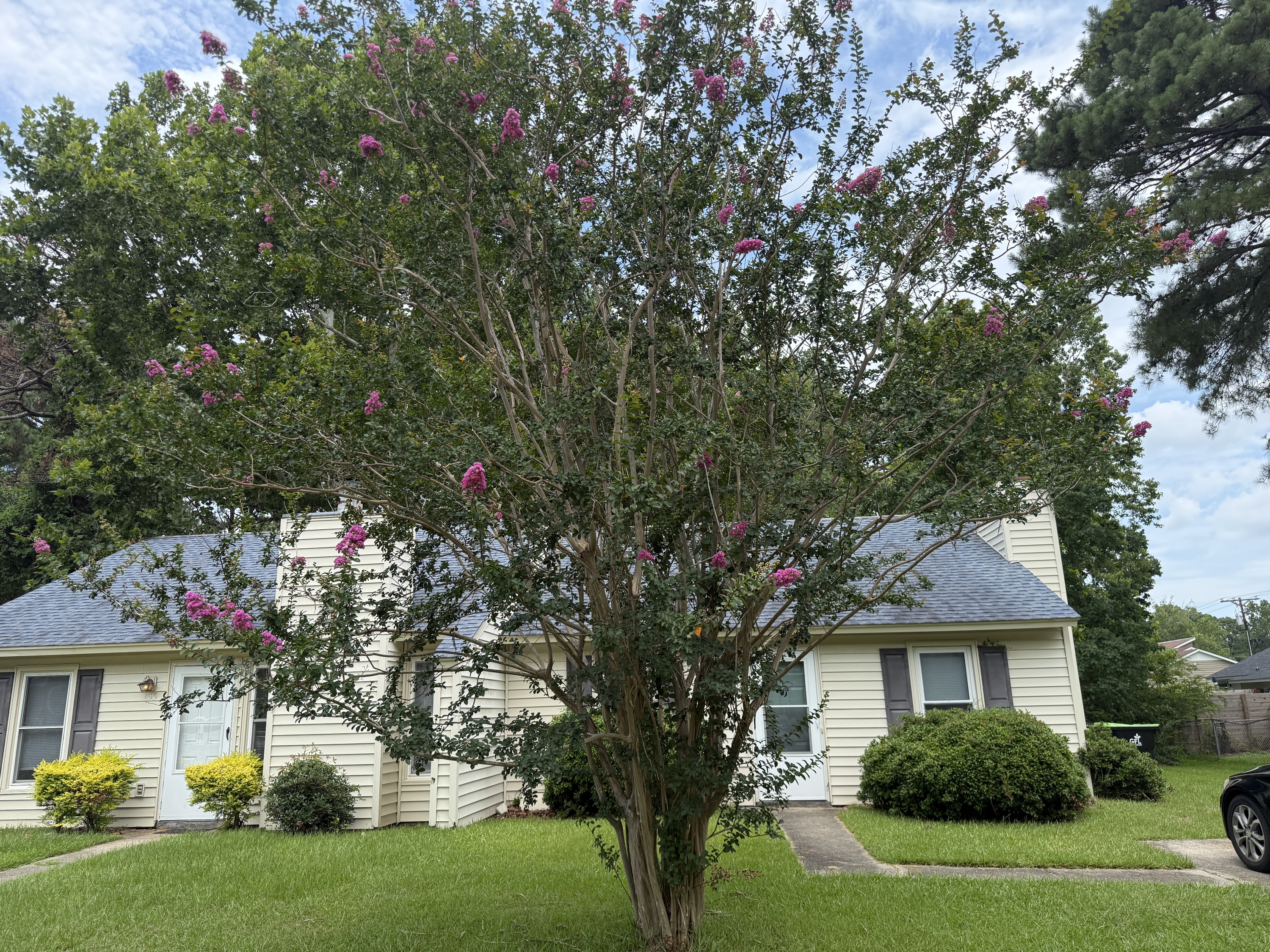 135 Twin Wood Drive - 1